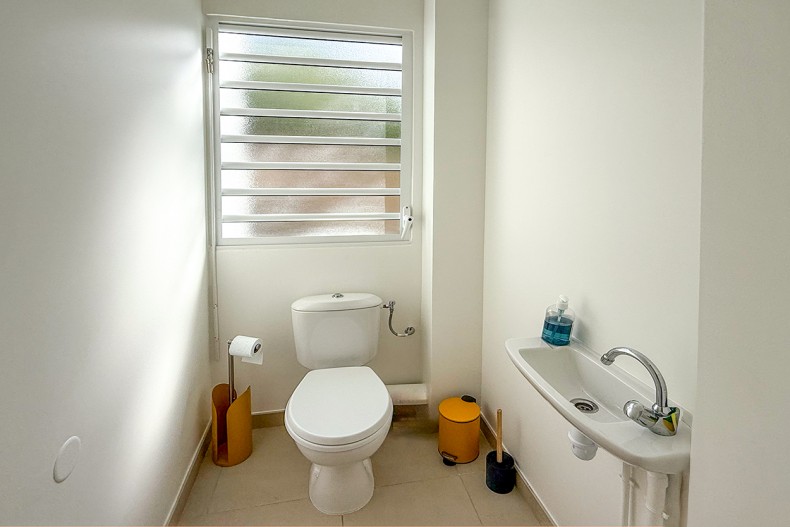 F3 Cocotier Bleu Location le Diamant