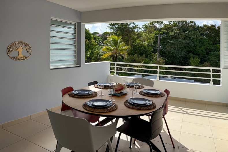 F3 Cocotier Bleu Location le Diamant