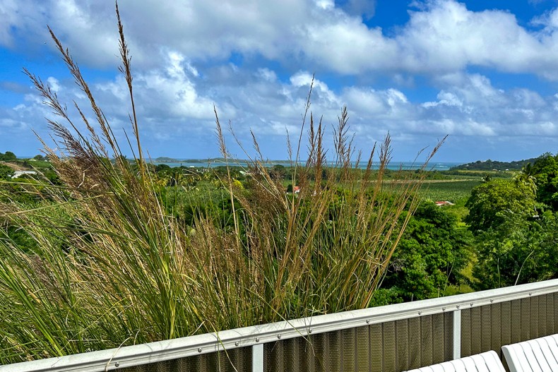 Maison le françois location martinique piscine vue mer