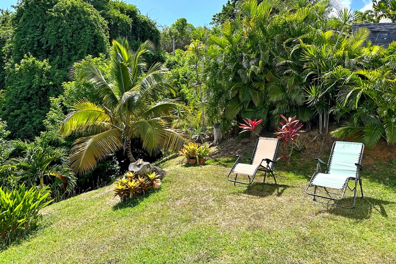 jardin Location Maison Tartane Martinique Surf et famille
