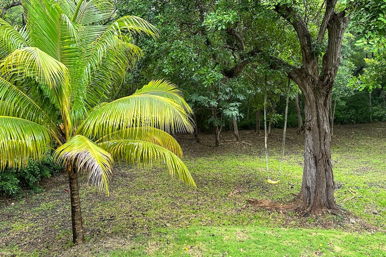 maison des bois Martinique Jardin