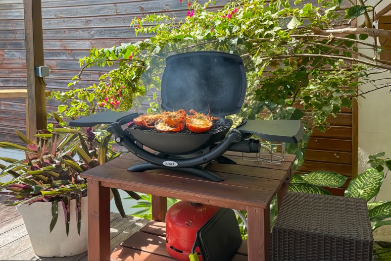 maison piscine sur le toit du Diamant BC