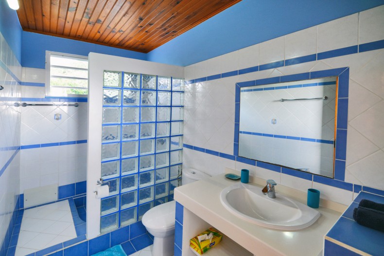 Salle d'eau le carbet