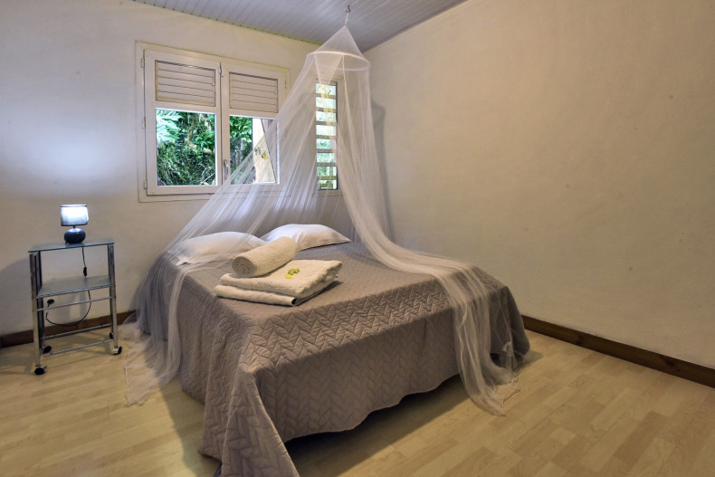 Belle Villa Saine Luce Martinique piscine