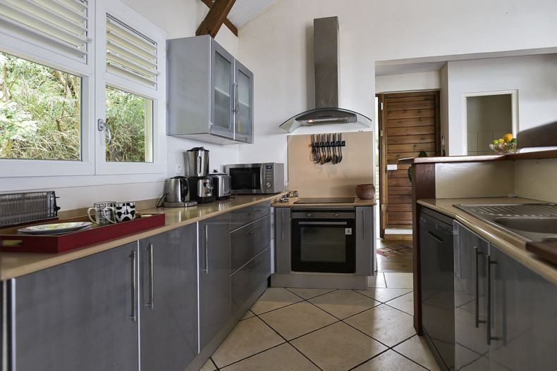 Belle Villa Saine Luce Martinique piscine