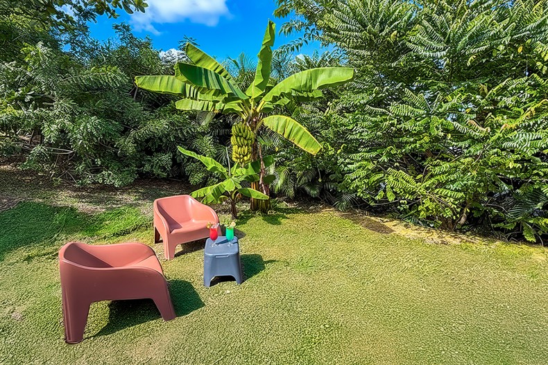 Jardin dans la piscine