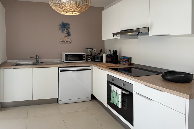 F3 Cocotier Bleu Location le Diamant