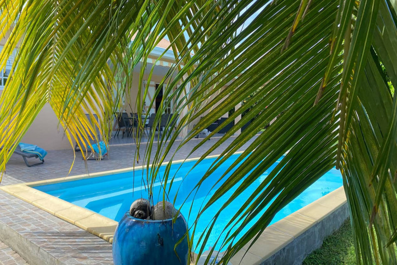 location villa le Vauclin piscine Cap Antilles