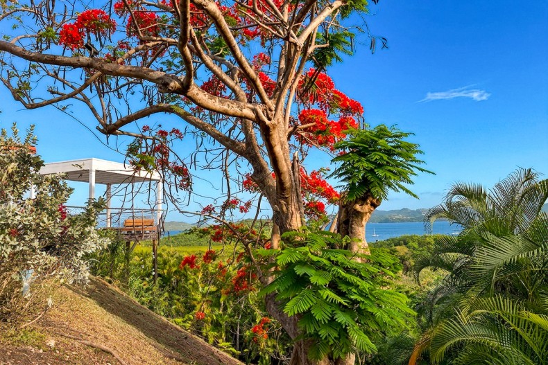 Villa de luxe Martinique le Robert