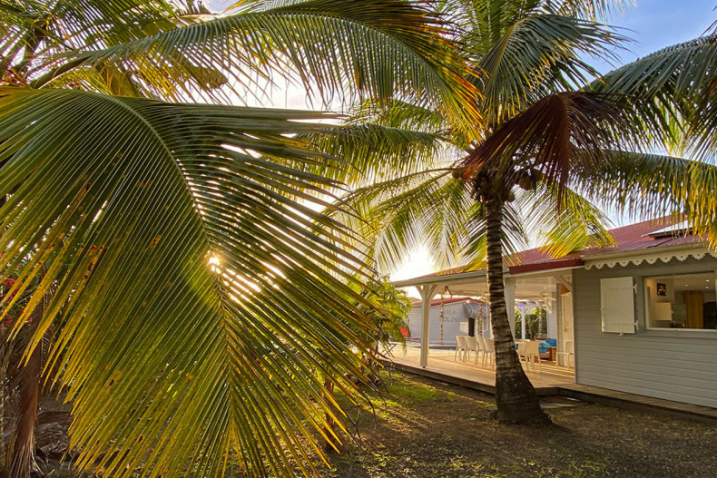 Fleur de Coton Entrée