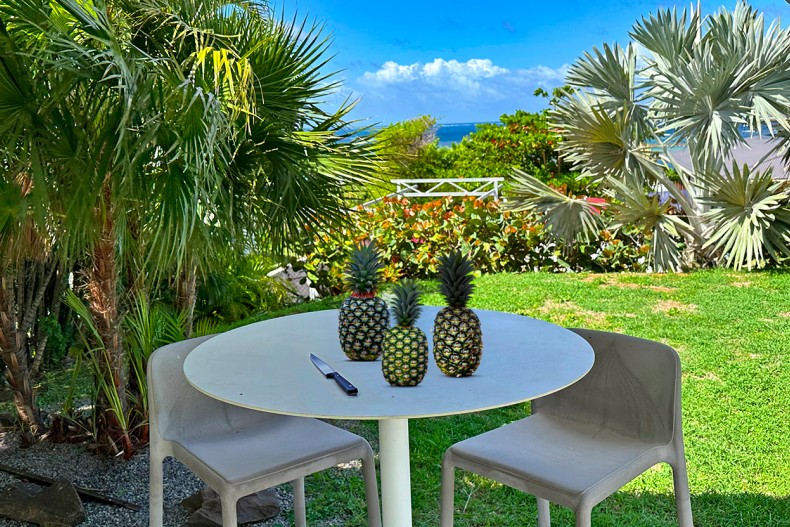Location Grande Belle Villa familiale de luxe Cap Est Martinique Piscine Vue Mer