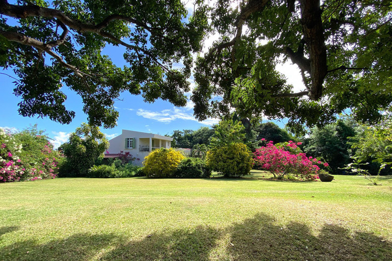 Habitation Martinique