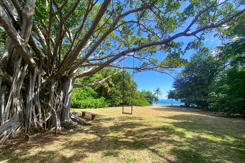 jARDIN villa Cap Nature Tartane