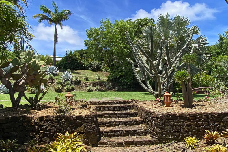 Cottage Cap Est Martinique jardin