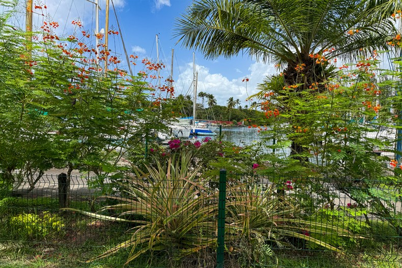 location appartement climatisé Martinique Trois Ilets