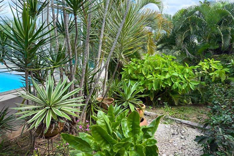 Location villa sainte Luce Martinique 4 étoiles jardin
