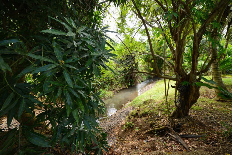 La rivière location jardin le françois