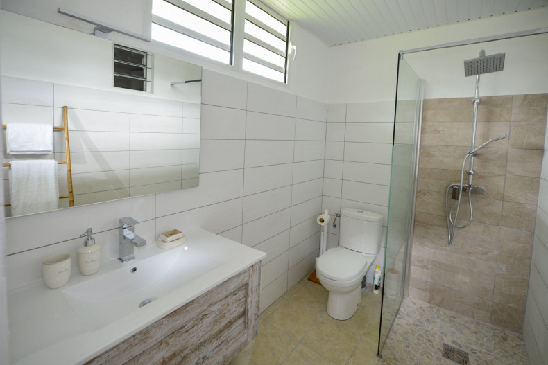 La salle d'eau de la chambre principale