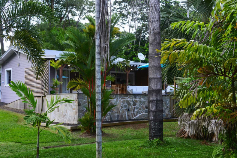 la piscine au milieu de la palmeraie martinique location vacances