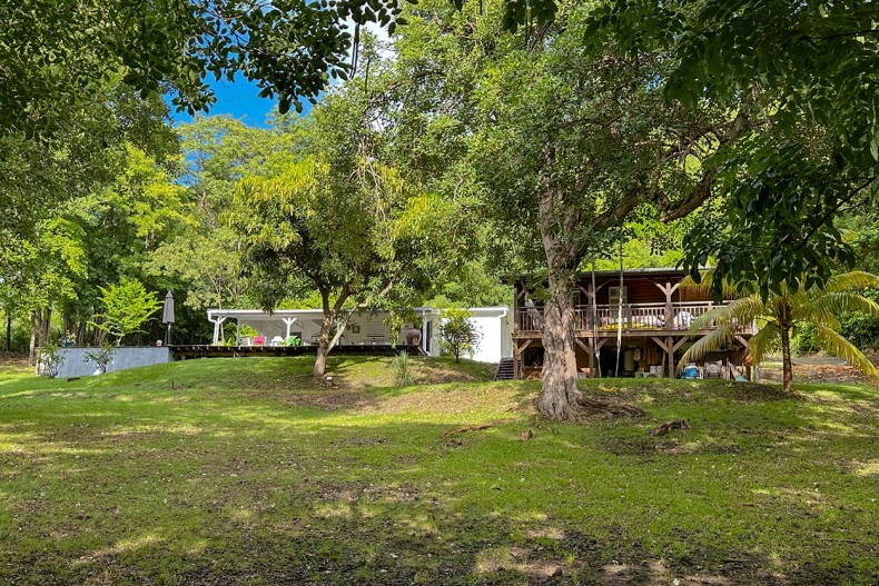 Jardin maison des bois Martinique