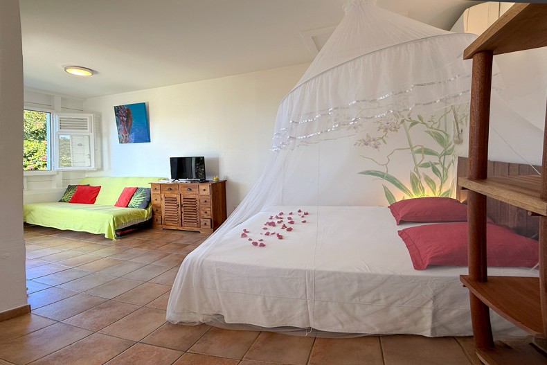 Location tartane piscine et SPA canap