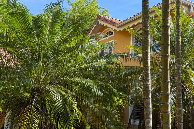 Villa de luxe Martinique Eden vert