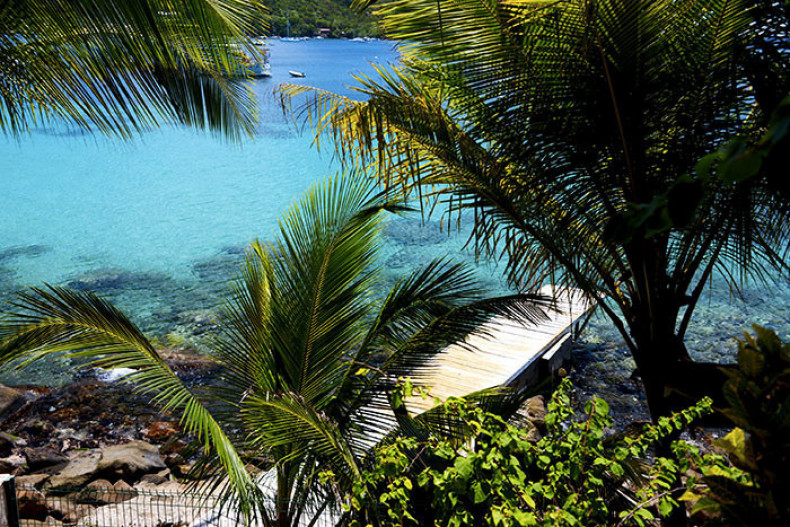 Villa ponton accès mer poissons et tortue Anses d 'Arlet
