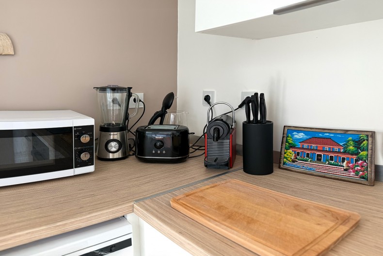 F3 Cocotier Bleu Location le Diamant