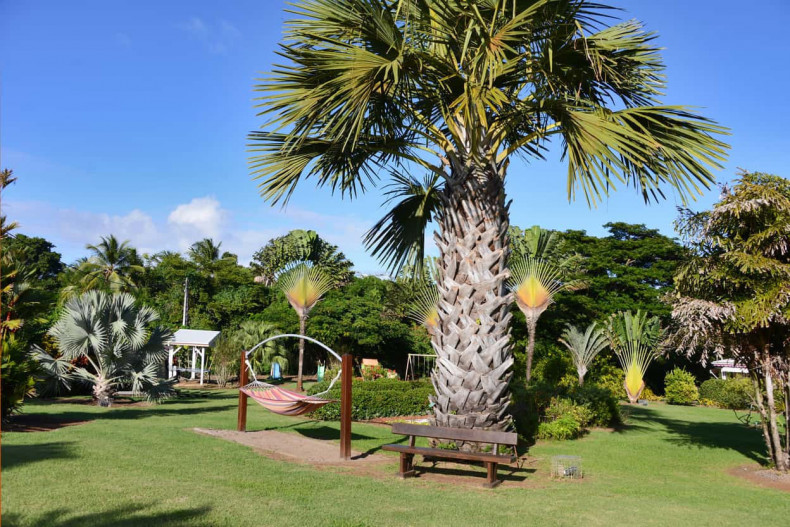 Parc de martinique