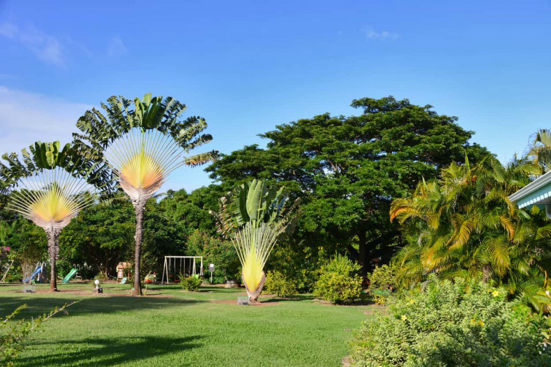 parc fleuri le françois martinique