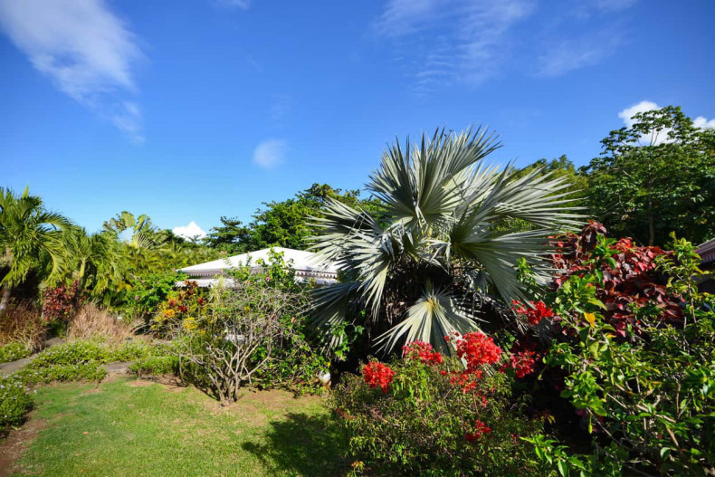 parc fleuri martinique