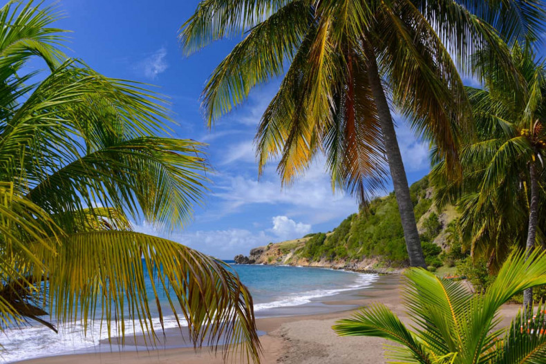 Plage Petite Anse Martinique