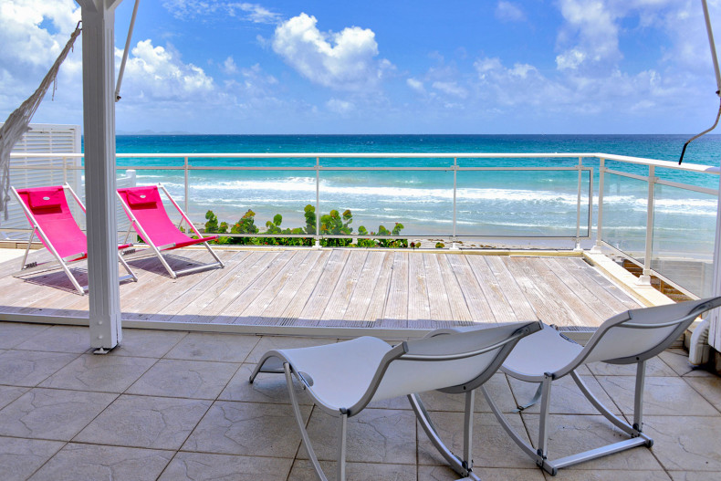 Petite Fleur du rocher face à la mer