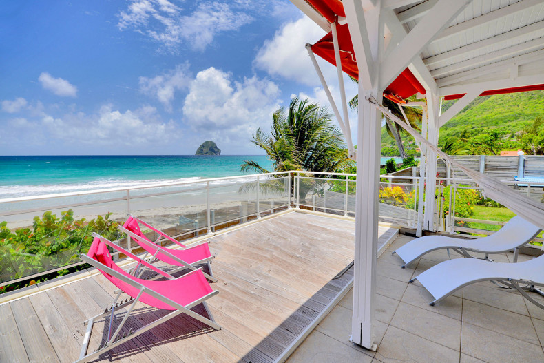 Petite fleur du rocher