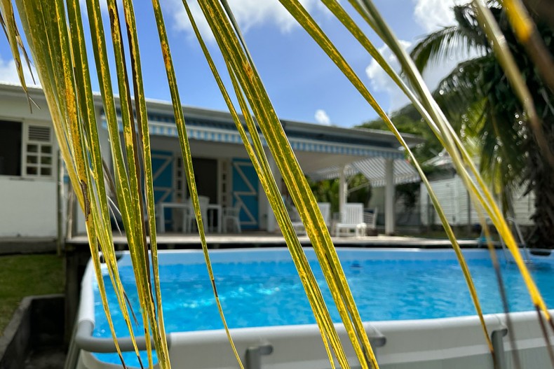 Location maison Sainte-Anne Tweety