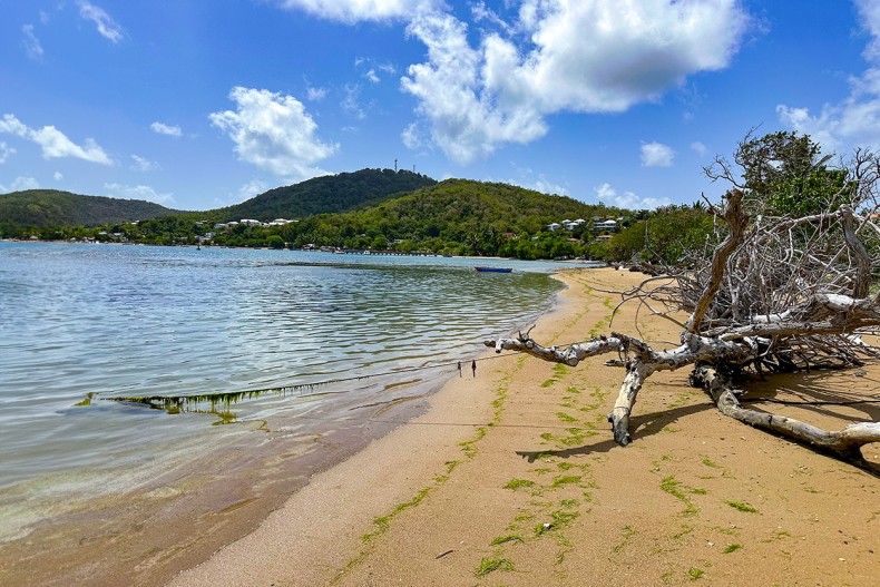 L'accès à la mer devant le bungalow