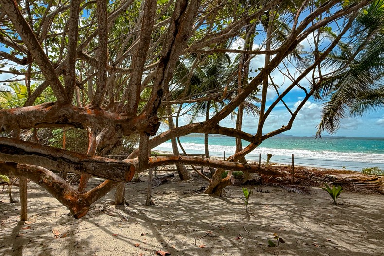 Plage du diamant Martinique