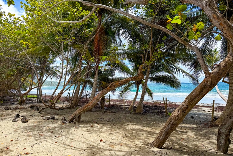La plage du diamant rocher