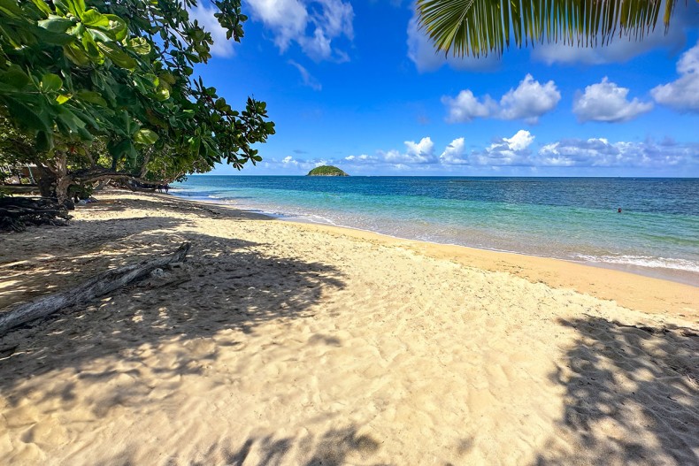 Plage Martinique Cosmy Trinité