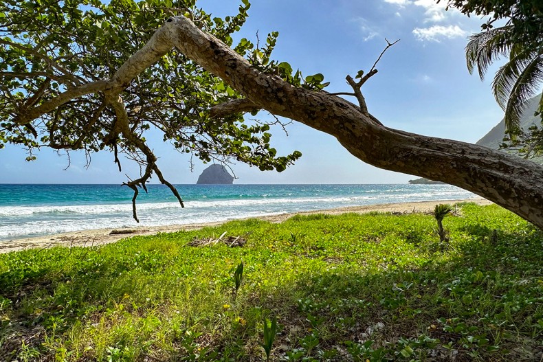 Plage porte du diamant