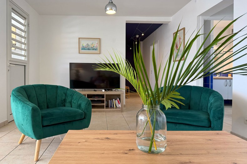 salon tvlocation magnifique F3 sainte luce