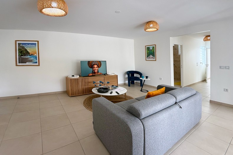 F3 Cocotier Bleu Location le Diamant