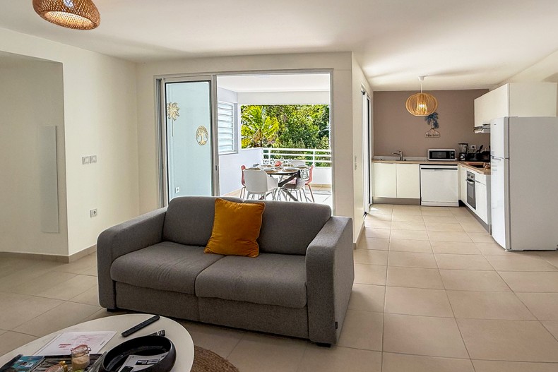 F3 Cocotier Bleu Location le Diamant