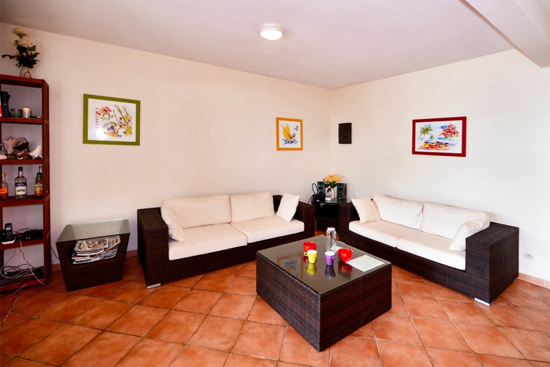 Les Haut de Tartane villa Martinique TV salon