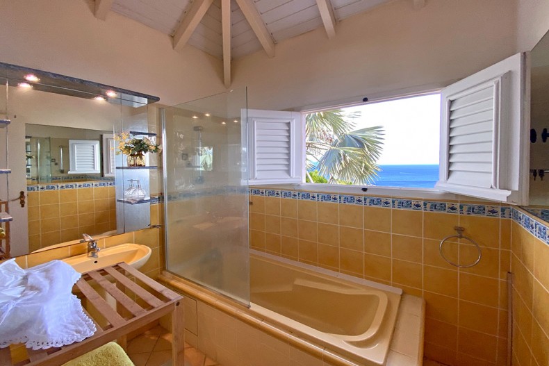 location saisonnière le carbet