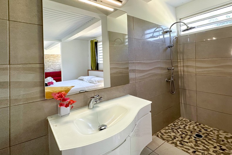 Salle d'eau chambre sous sol