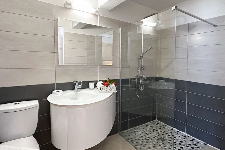 Salle d'eau chambre 1