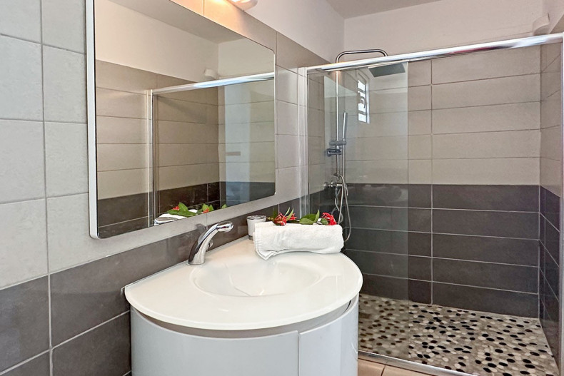 Salle d'eau chambre 5