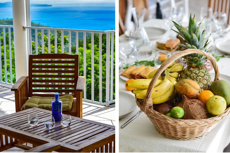 Belle Villa Saine Luce Martinique piscine