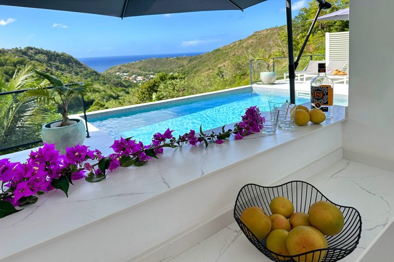 villa MODERNE prestige Martiniquebar
